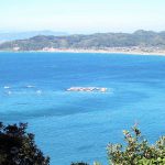 大房岬からの眺望