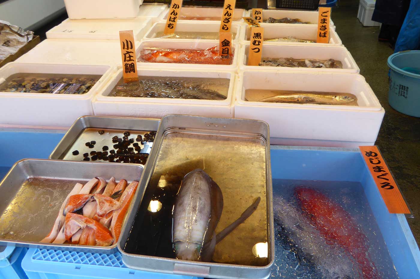 鮮魚 店 まるい 干物と鮮魚の通販・産地直送販売：南房総船形