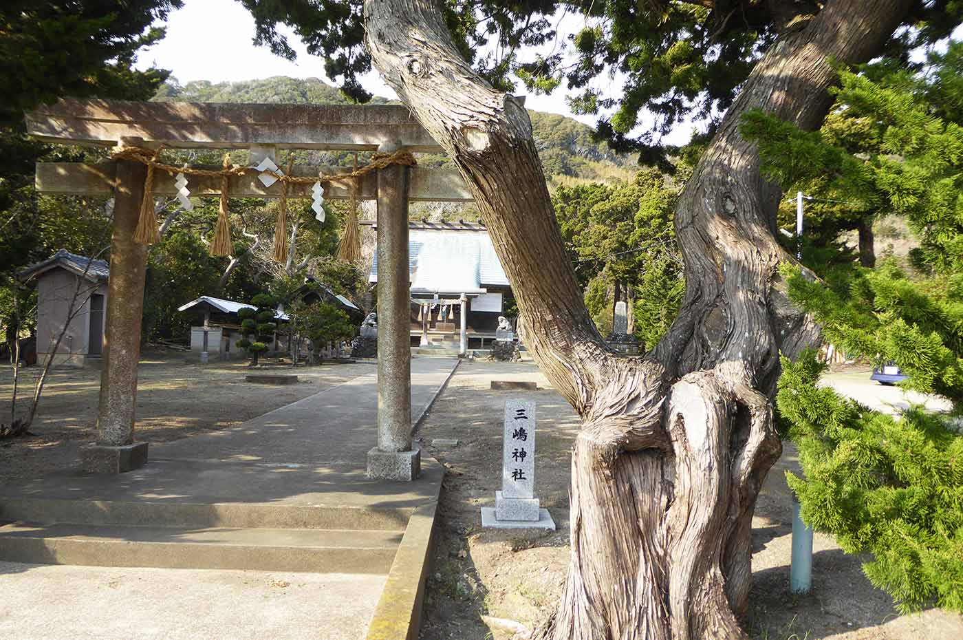 三嶋神社の境内の画像