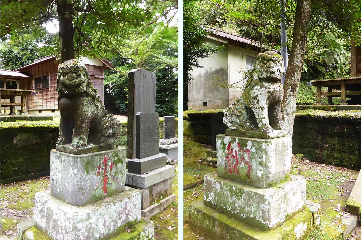 賀茂神社狛犬