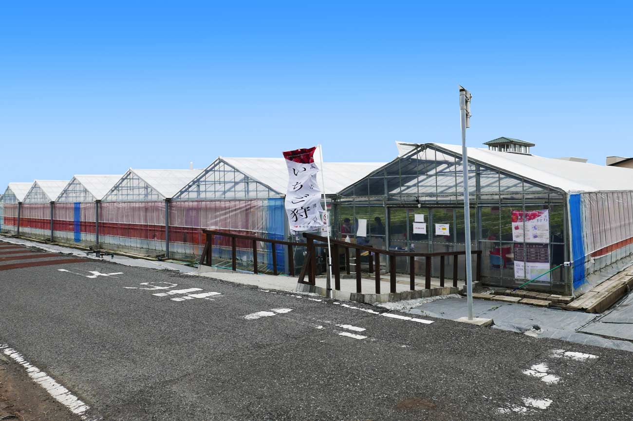 道の駅白浜野島崎のいちご狩り温室の画像
