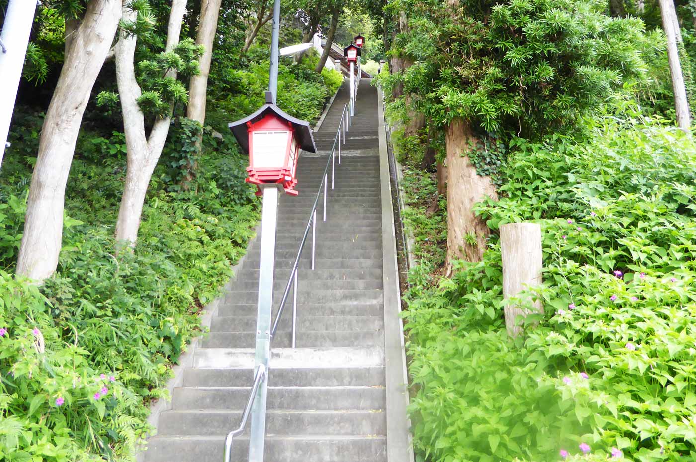諏訪神社の長い階段