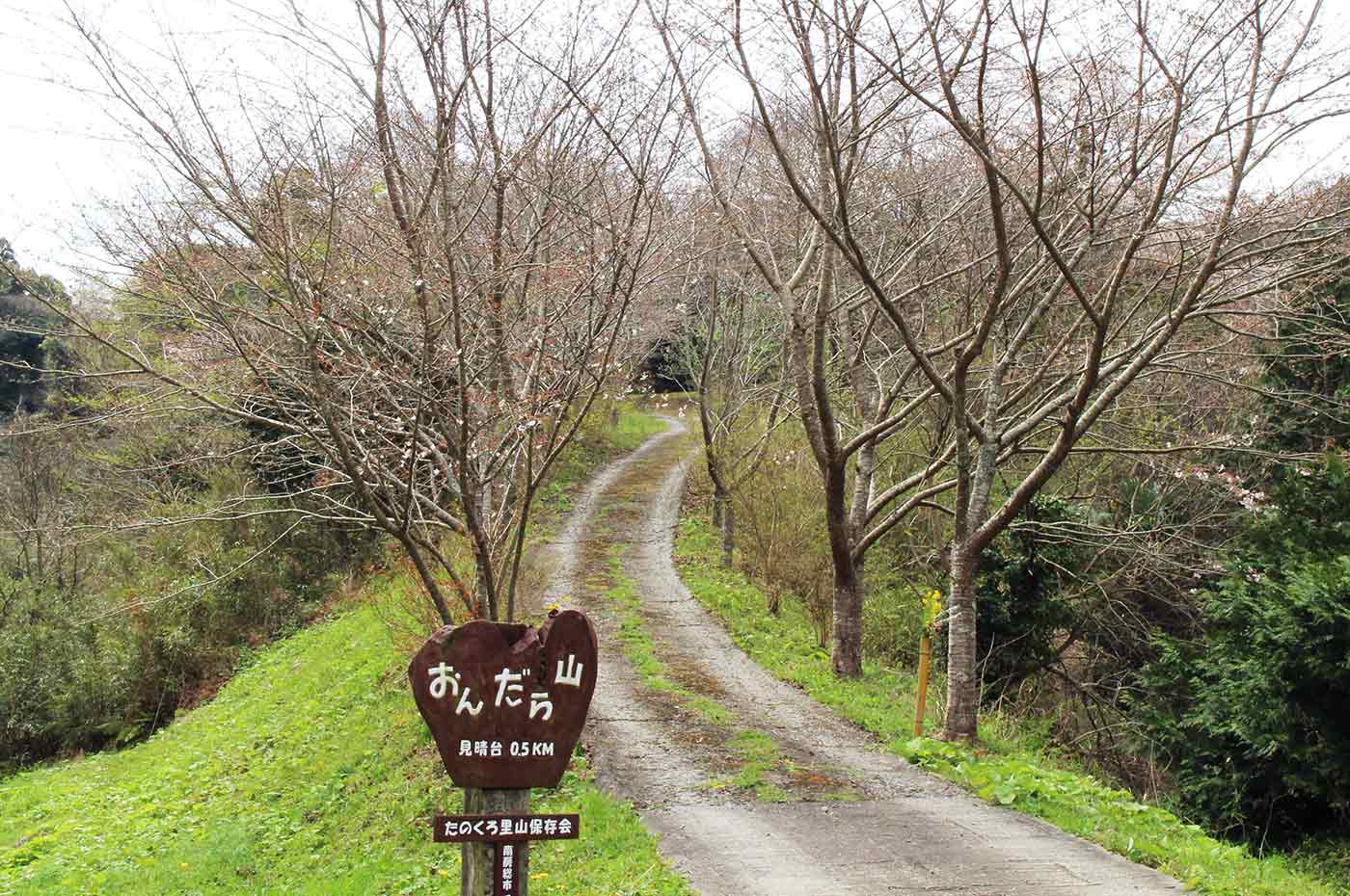 おん だら 山 ハイキング コース