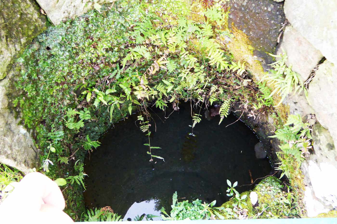 弘法の井戸写真