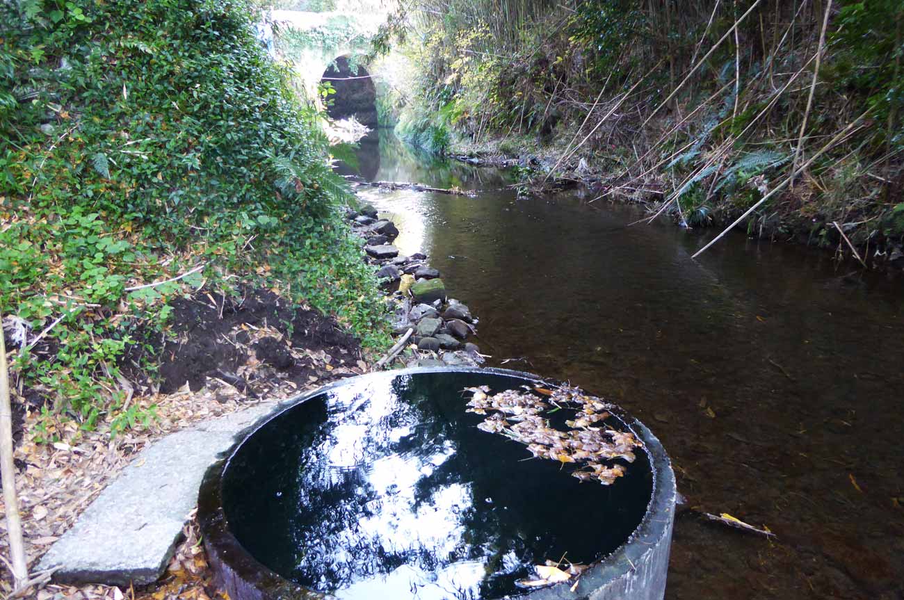 弘法井戸と石積橋の画像