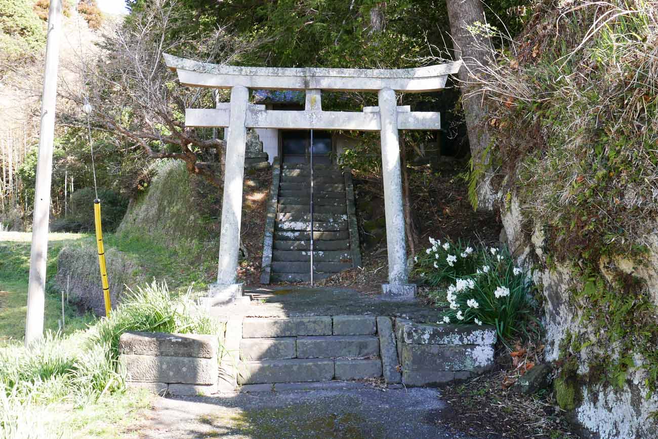 天満神社の鳥居と参道の画像