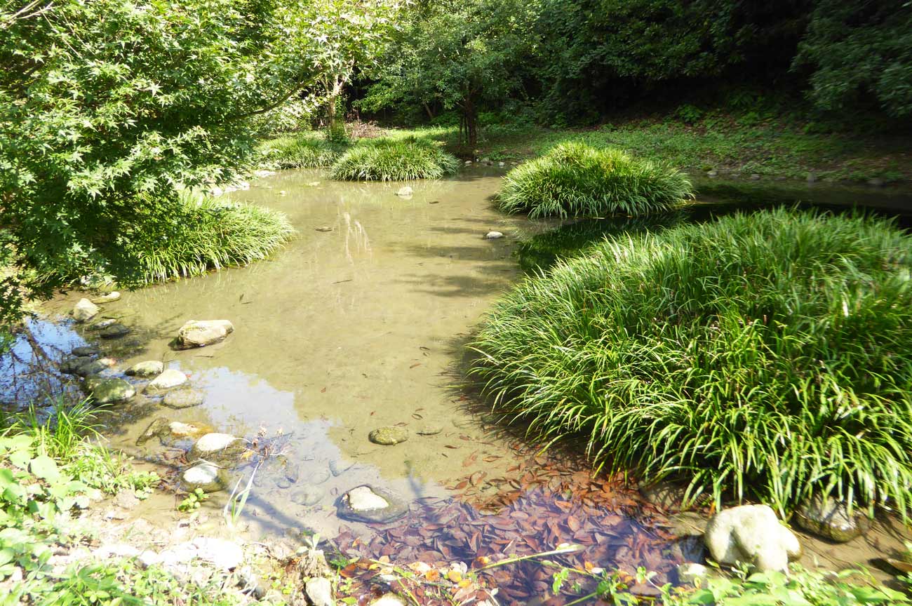 吉井農村公園のビオトーブ池の画像