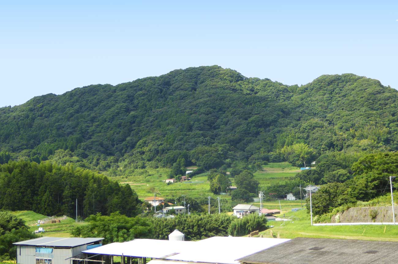 吉井農村公園付近の里山の画像