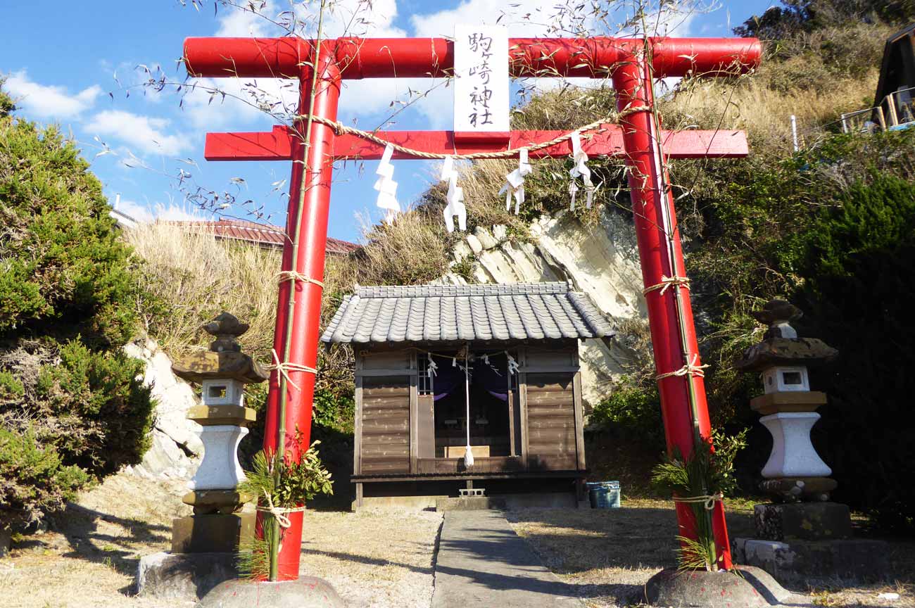 駒ケ崎神社の全景画像