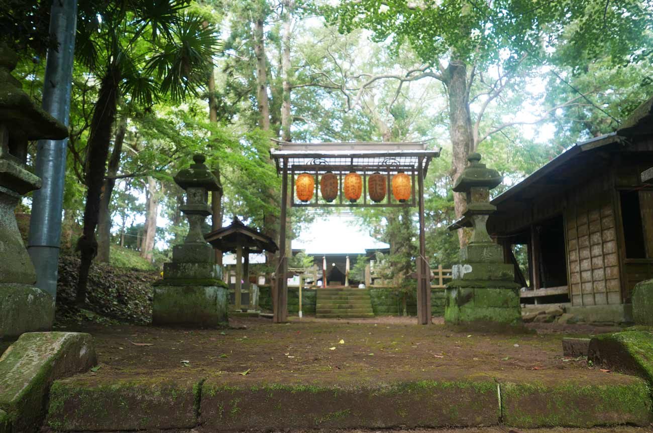 熊野神社境内の画像