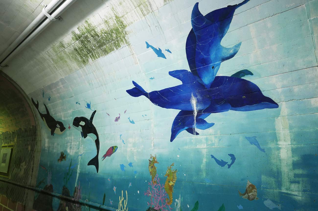 トンネル水族館のイルカの壁画