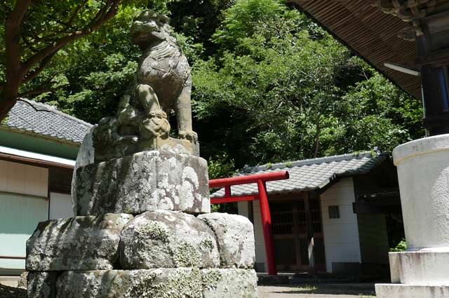 豊受神社の狛犬（左）の画像
