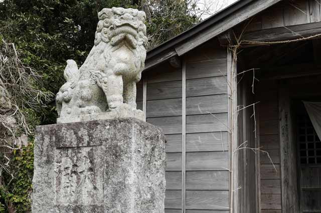 八雲神社の狛犬（左）