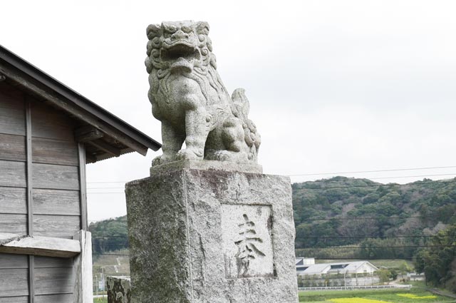 八雲神社の狛犬（右）
