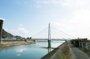 和田サーフ橋の全景