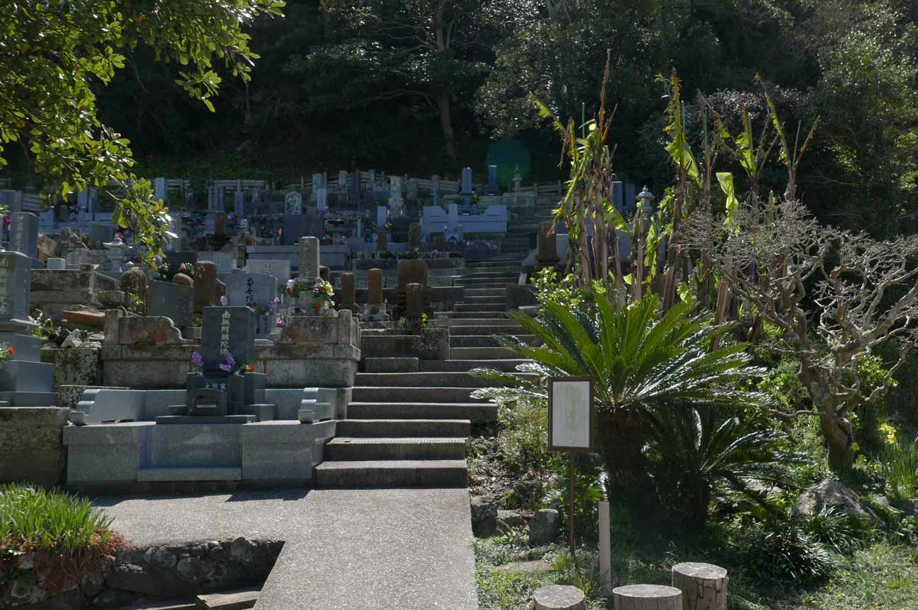 裏山の墓地