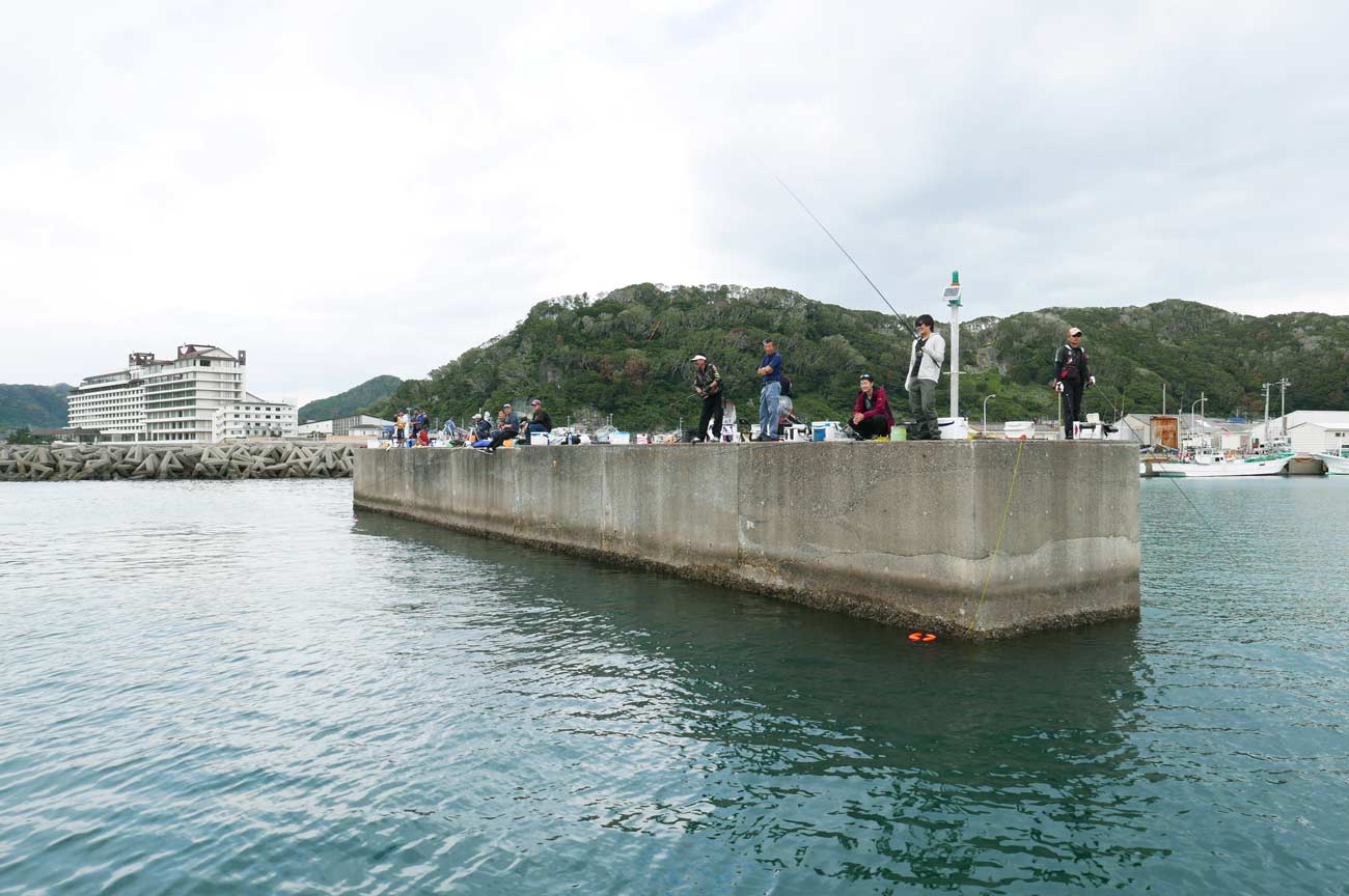 小湊港の釣り人たち
