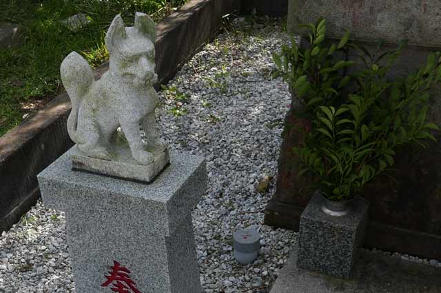 稲荷神社の狛狐（左）