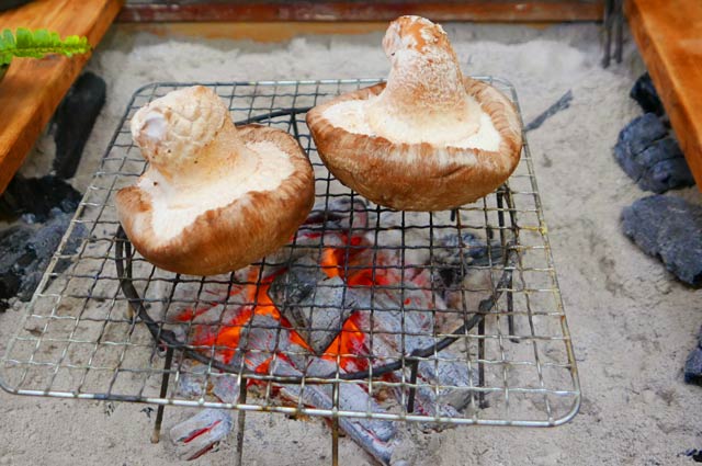 椎茸の炭火焼き