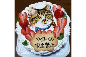 猫の似顔絵ケーキ