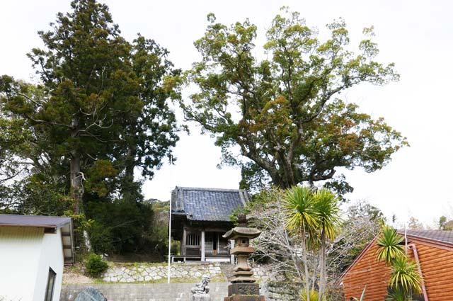敷地内の山神社