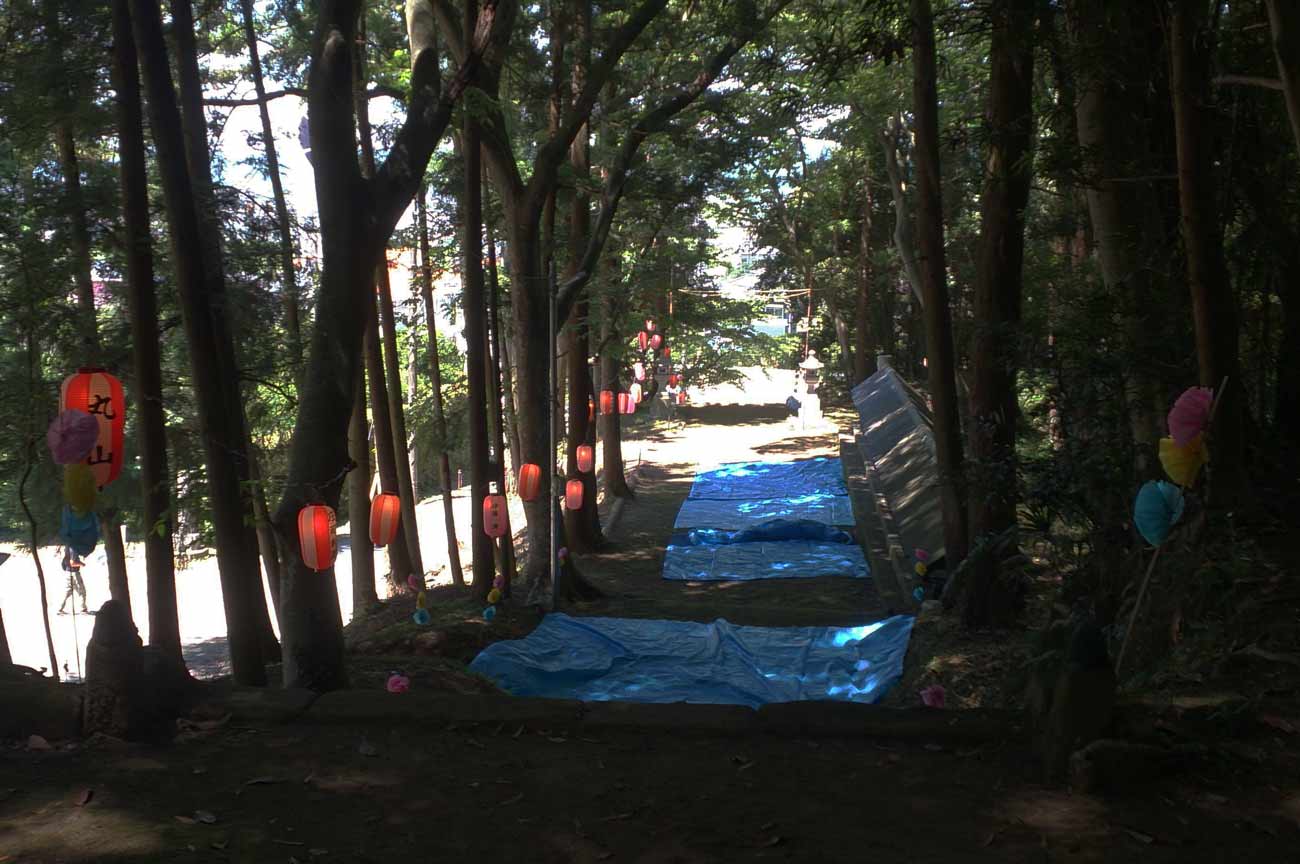 八坂山神社参道の石段（上から撮影）