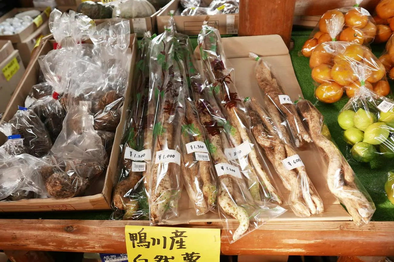 ヤマノイモ・自然薯（じねんじょ）【房州の食材】 | 房総タウン.com