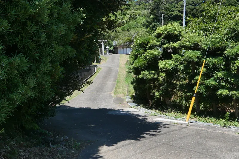 遠くに見える鳥居