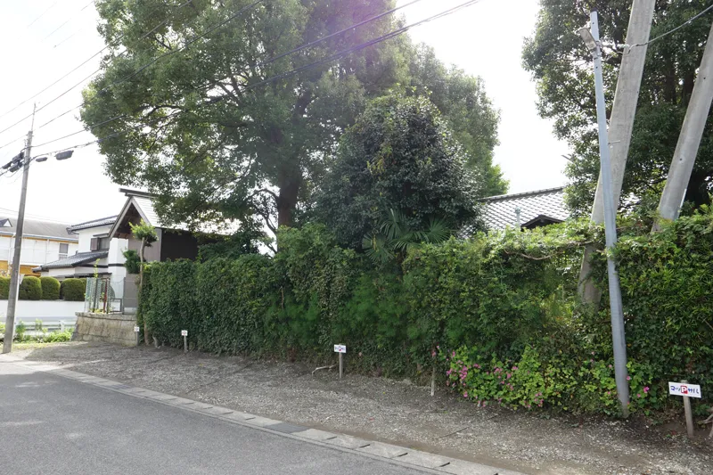 正面の熊野神社