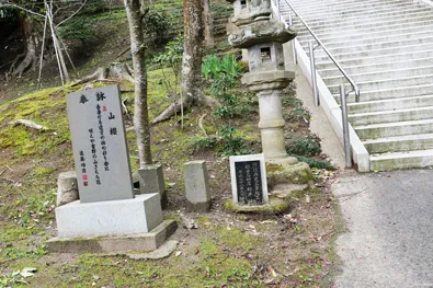 山桜の句碑