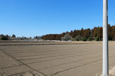 田園風景