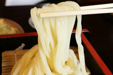 滑らかなうどんのアップ
