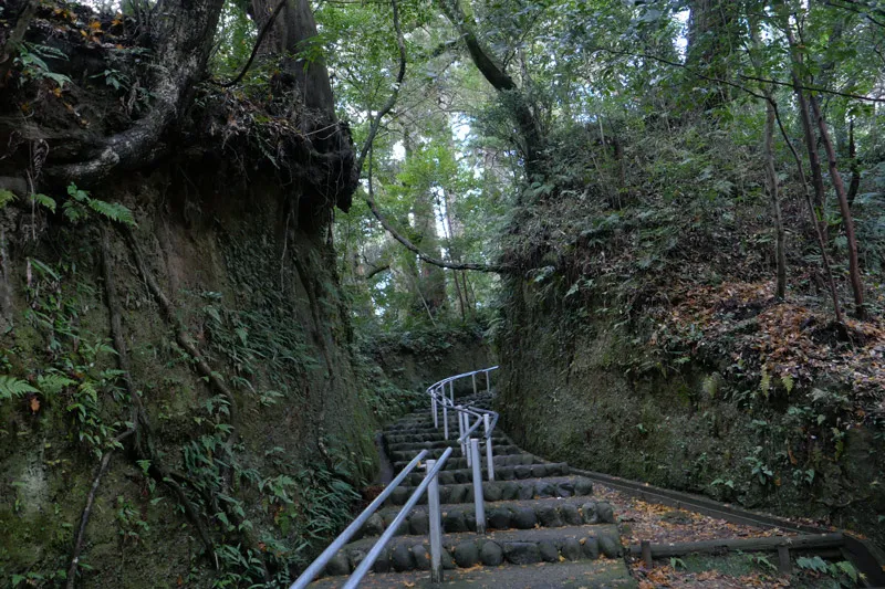 参道の石段