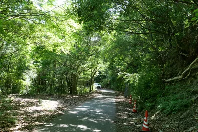 細い道が続く