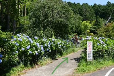 妙法生寺への道