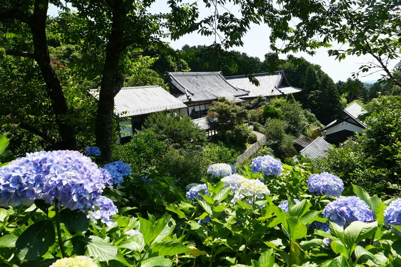妙法生寺