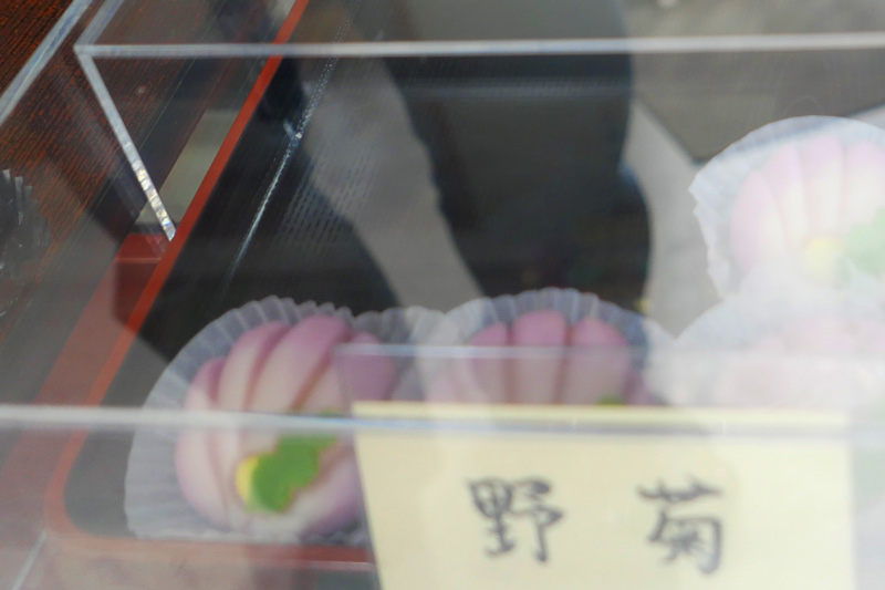 野菊
