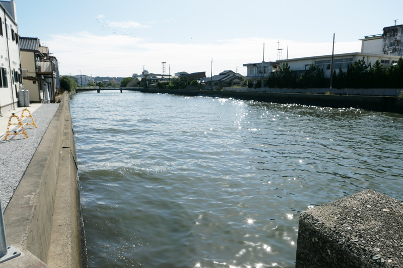 橋の上流部