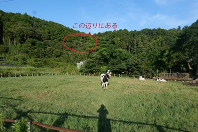 TAYAMA牧場