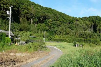 参道入口の石宮