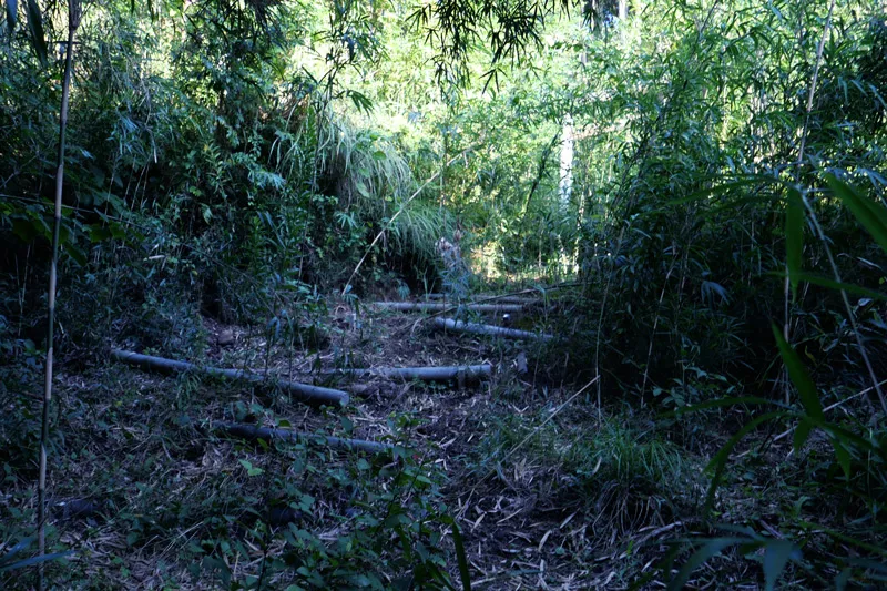 壊れた階段