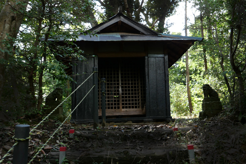 拝殿が見えてきた