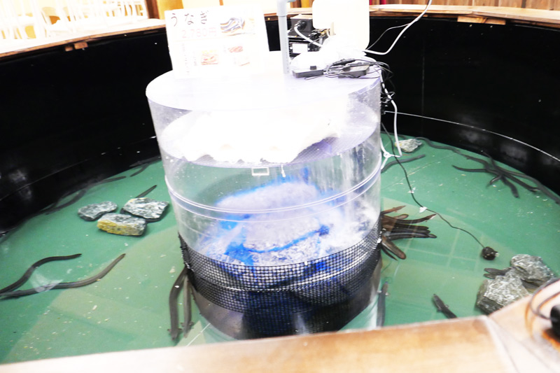 ウナギ釣りコーナー