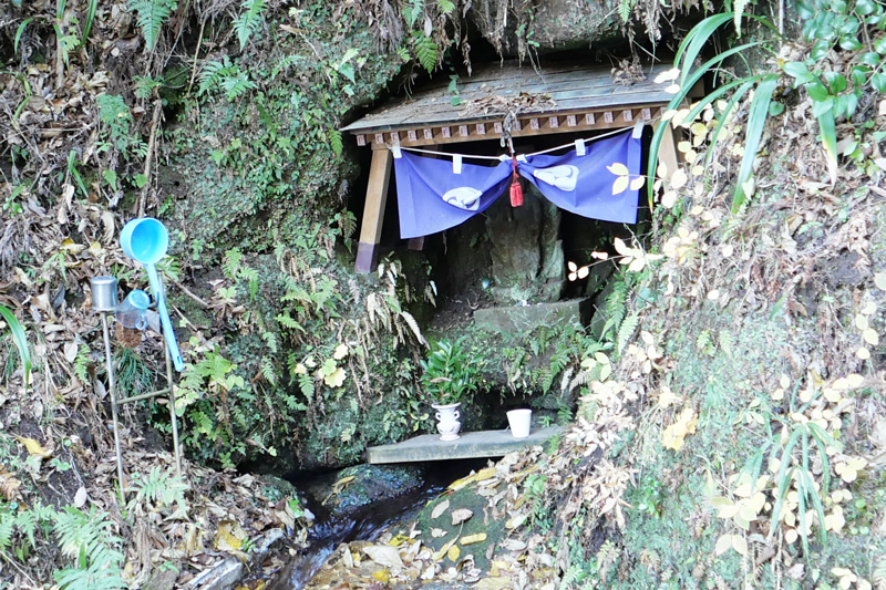 岩の割れ目から湧き出る水