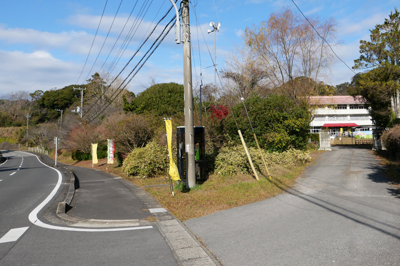 もみじロード沿いのノボリ