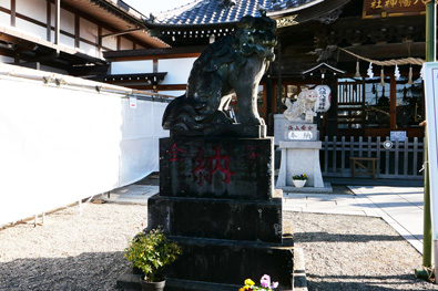 狛犬（左）