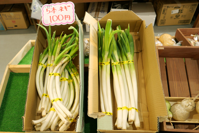 ネギ１００円