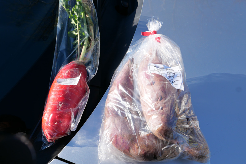 購入したサツマイモと紅大根