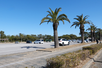 広い富津公園駐車場