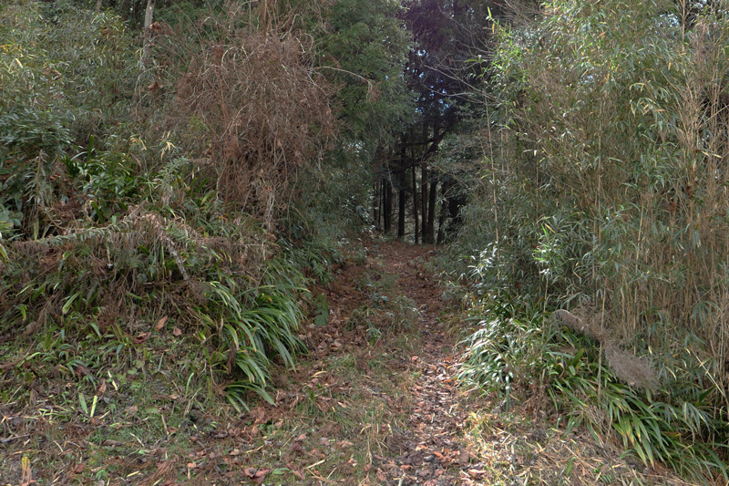 参道入口の細い道